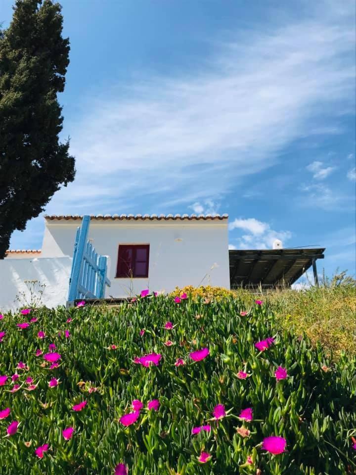 Casa Pedralva Βίλα Vila do Bispo Εξωτερικό φωτογραφία