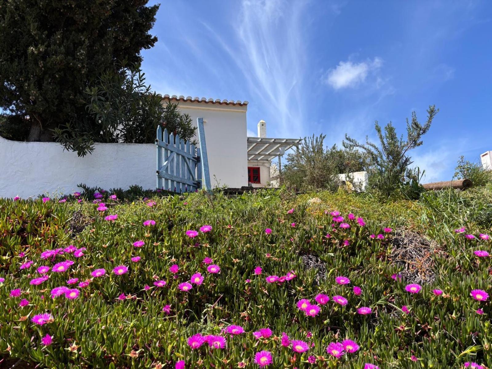 Casa Pedralva Βίλα Vila do Bispo Εξωτερικό φωτογραφία